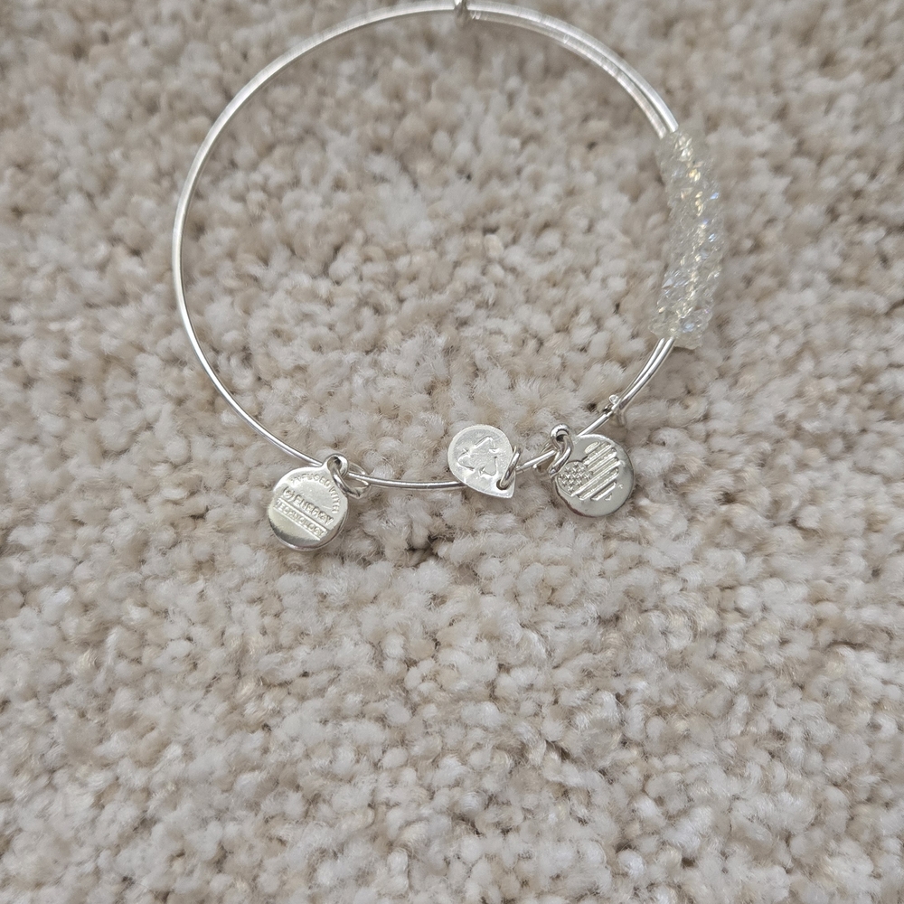 Alex And Ani Ice Storm Fine Rocks Bangle Bracelet - Picture 3 of 4